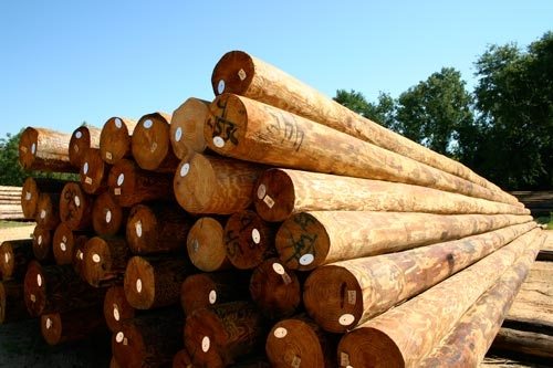Poles PECO International Electric